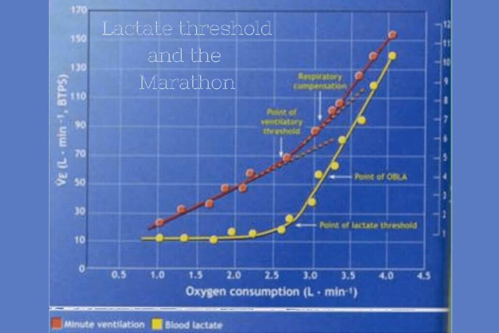 Lactate Threshold and the Marathon